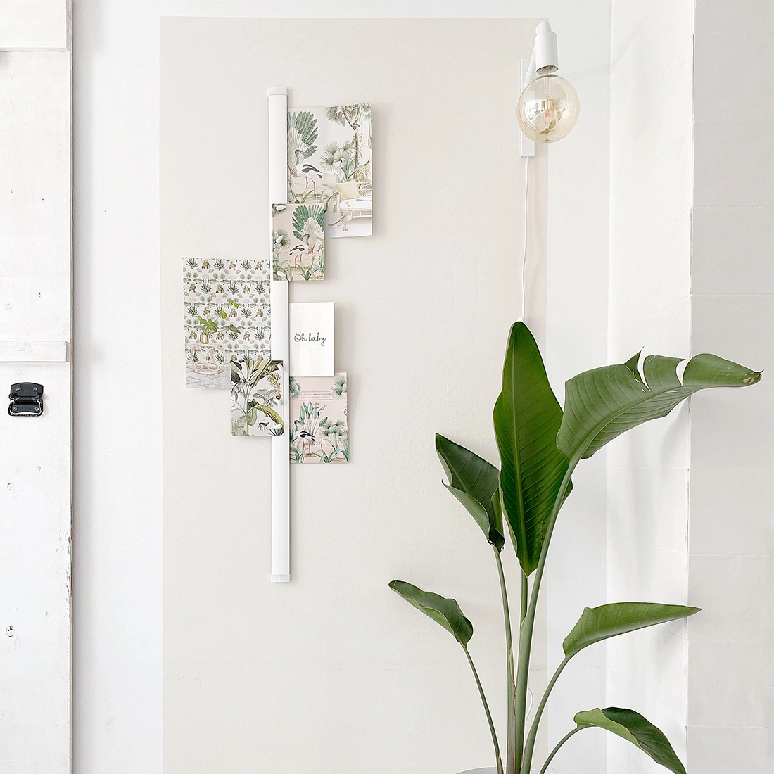 Groene plant kaarten aan Card Rail