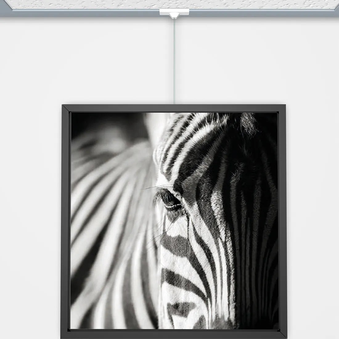 Systeemplafond Hanger