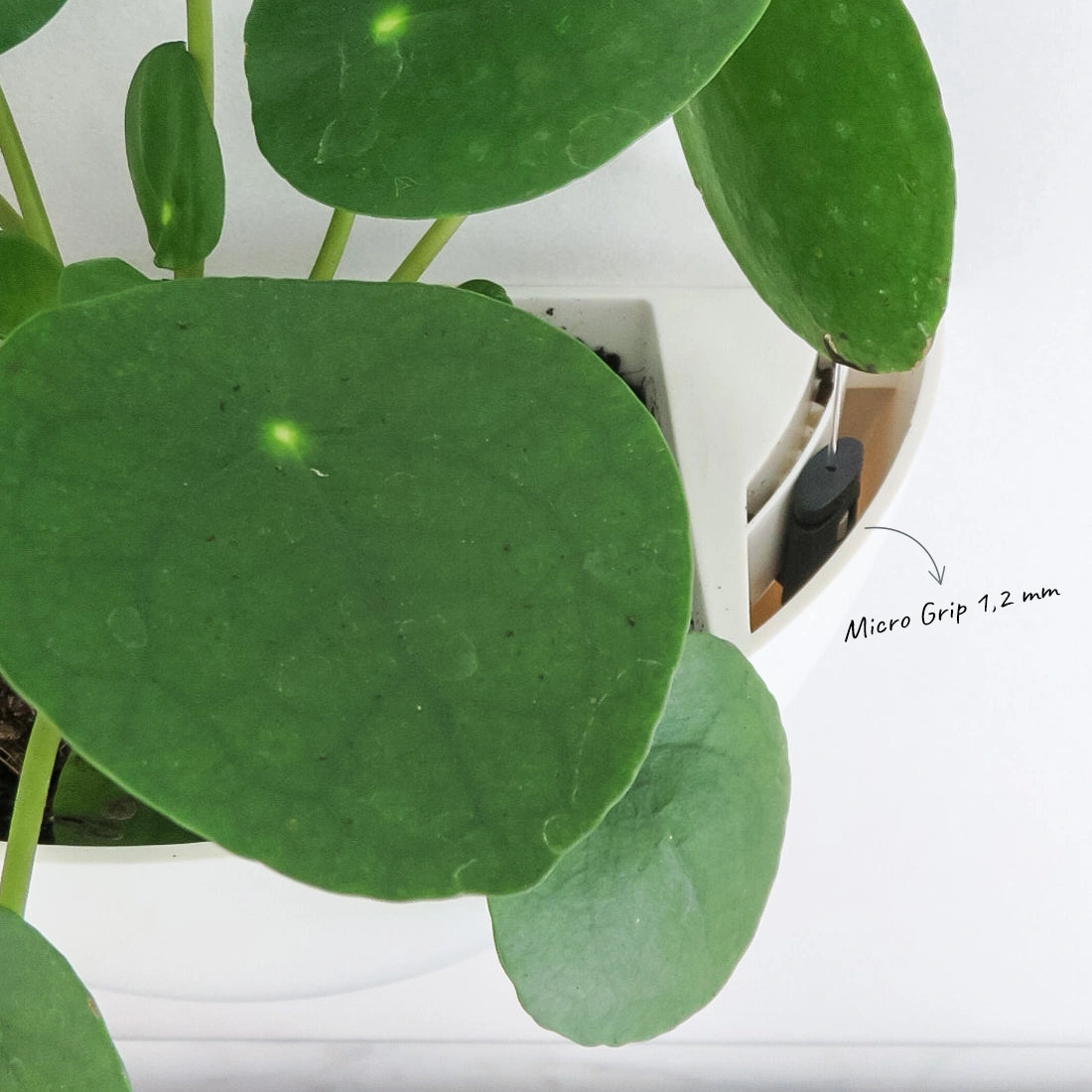 Gancho de suspensión Micro Grip 5-10 kg