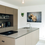 back frame hanging system  paneel in keuken