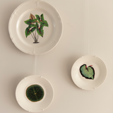 bordhanger groen planten botanisch