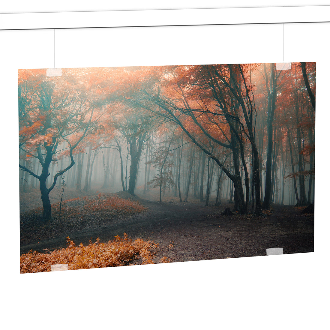 Newly H300 Panel Display Hanger