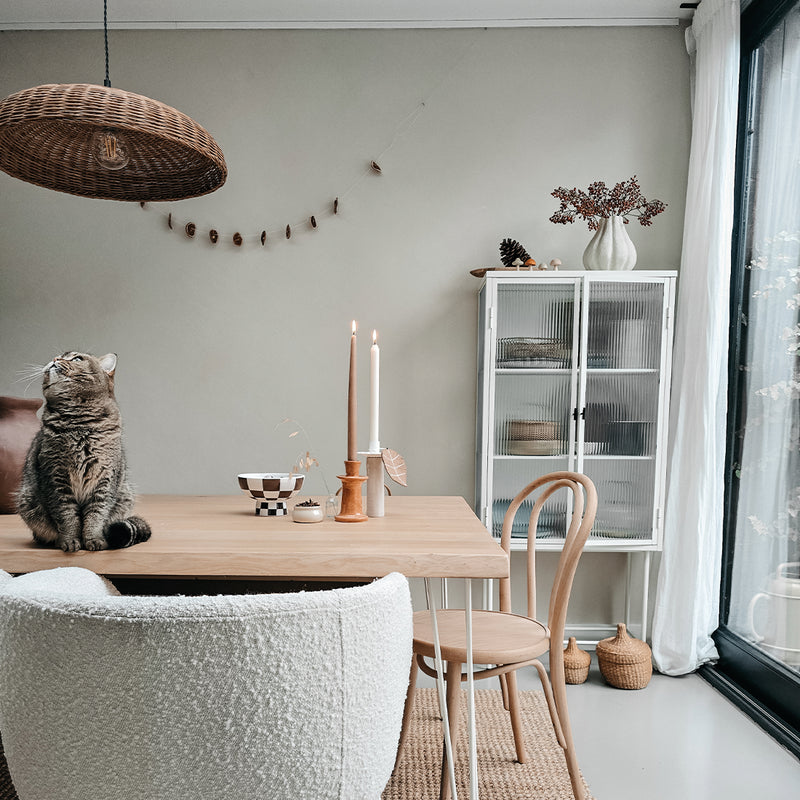Herfsttak aan muur kat op tafel