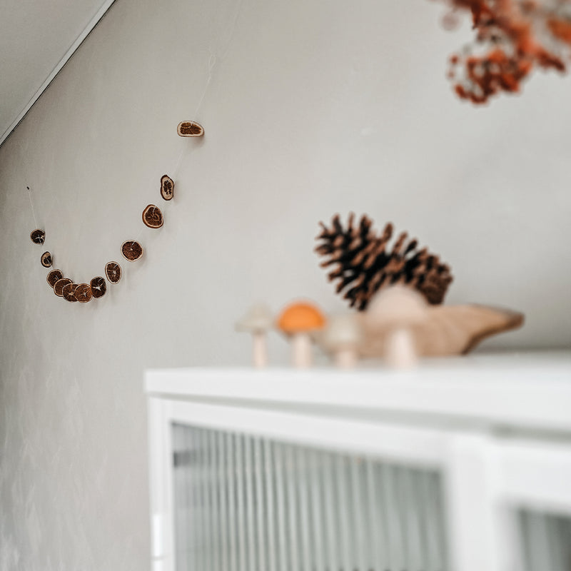 detail foto herfstslinger aan muur