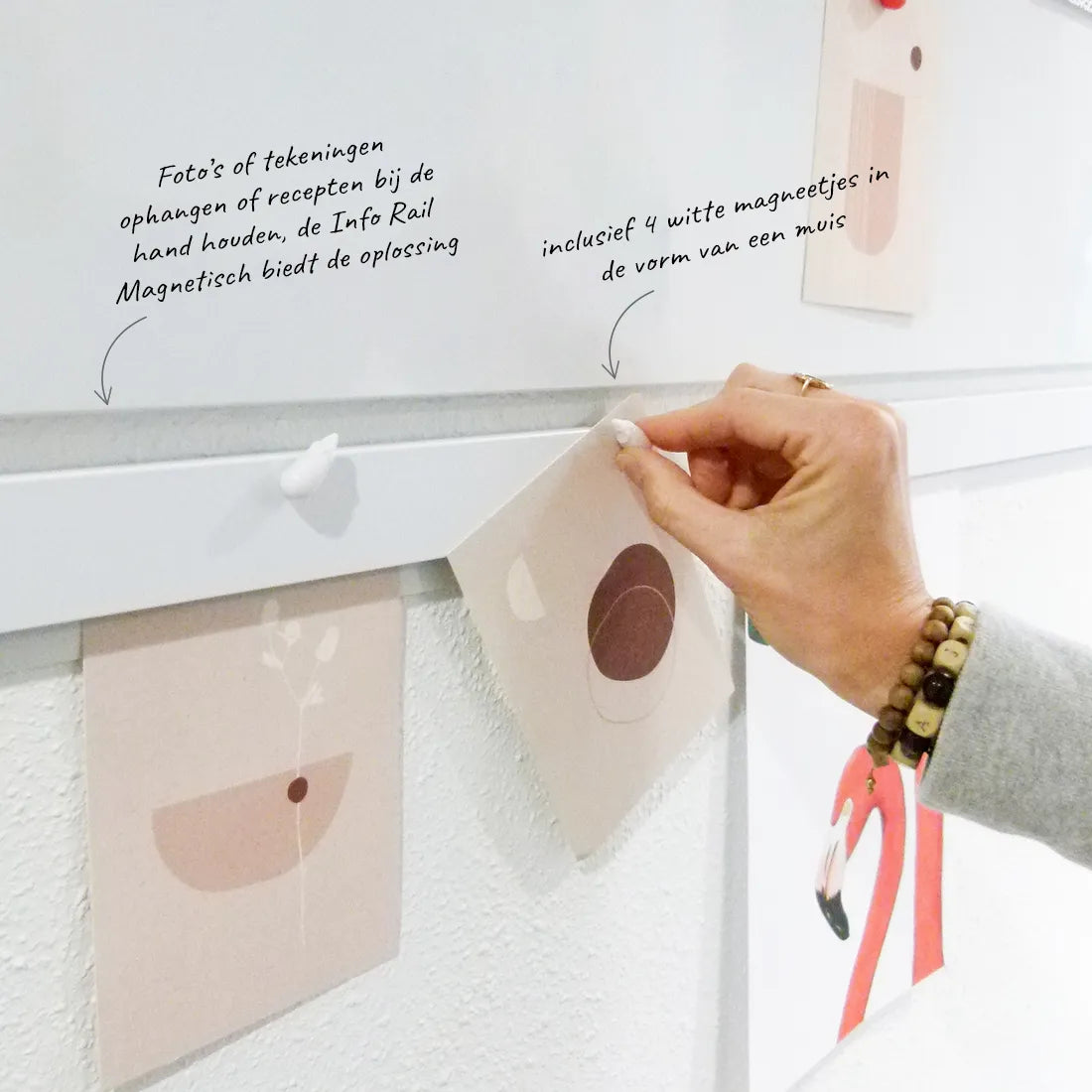 Info Rail magnetisch muisje op rail plaatsen