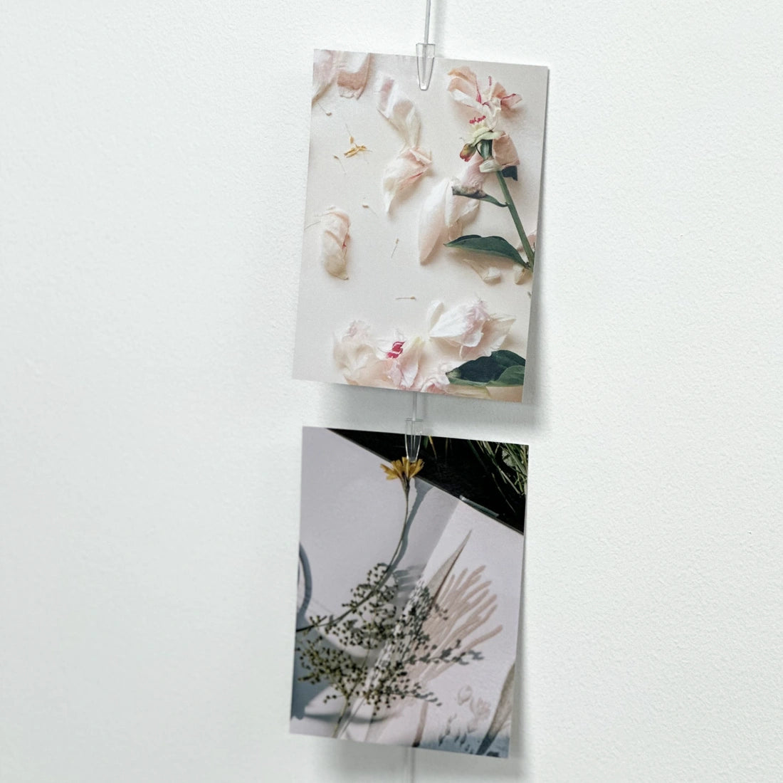 Picture Clips transparant