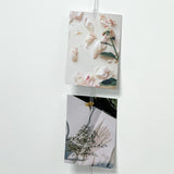 Picture Clips transparant