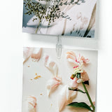 Picture Clips transparant