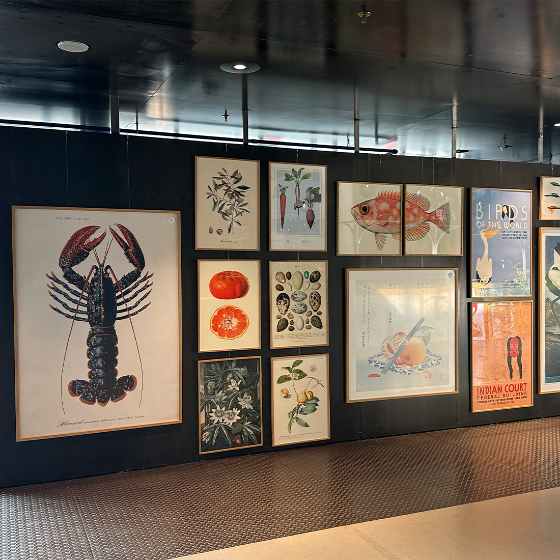 Expositieruimte met scheidingswandhaken