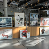 Tijdelijke expositieruimte schilderij aan scheidingswandhaak