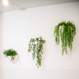 Guía Shadowline Drywall