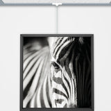 Systeemplafond Hanger