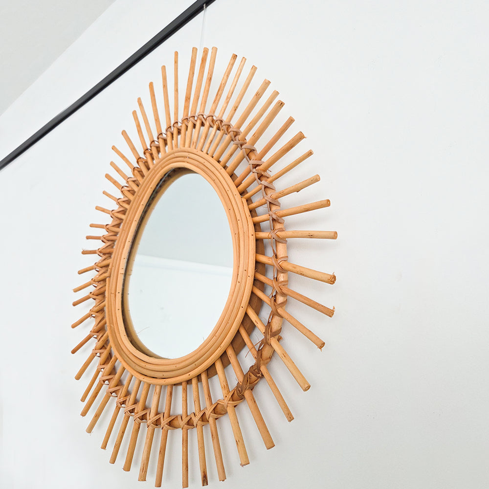 Newly Ophanghaak H10 aan spiegel 