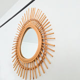 Newly Ophanghaak H10 aan spiegel 