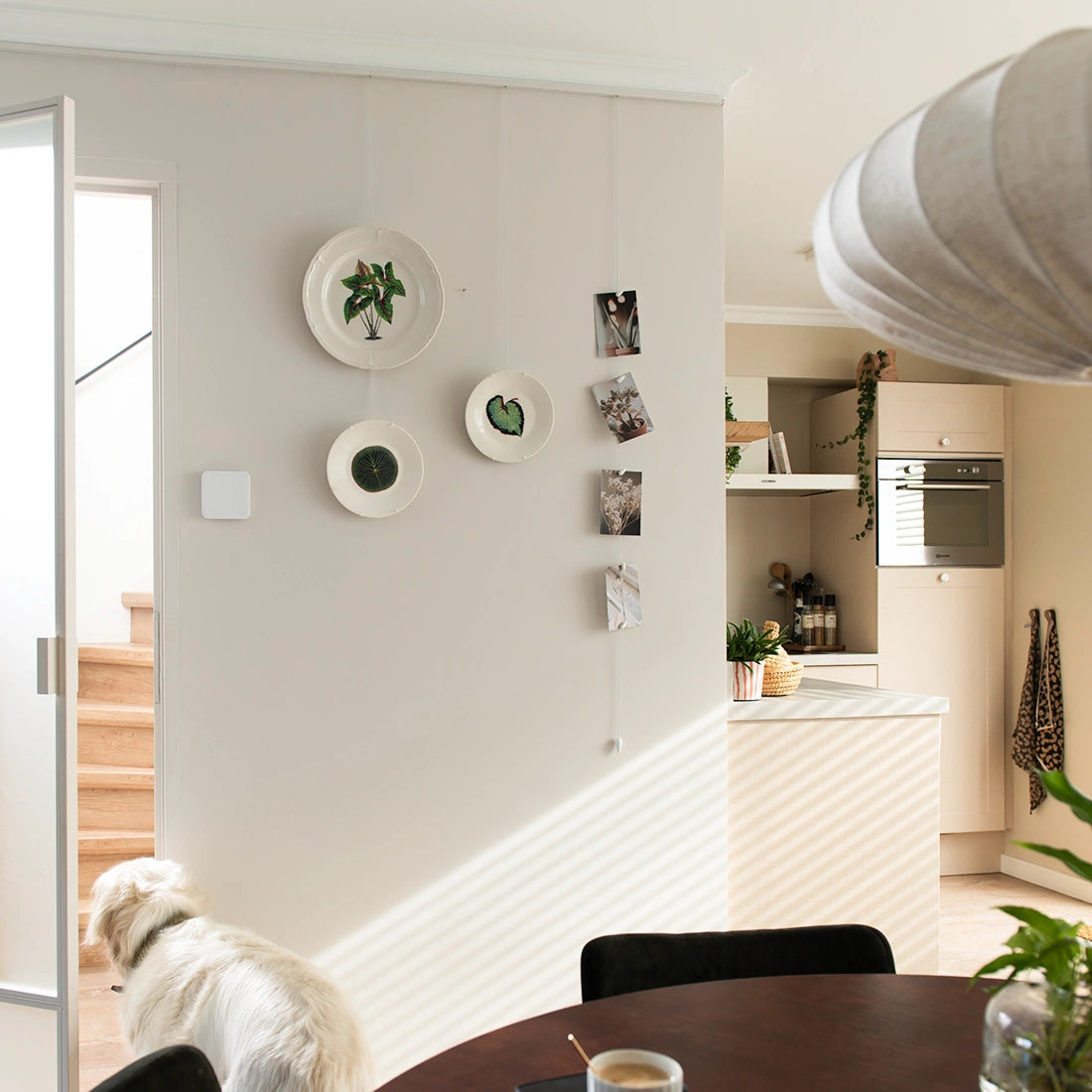 Artiteq Ophanghaak Mini Haak aan sierborden in keuken