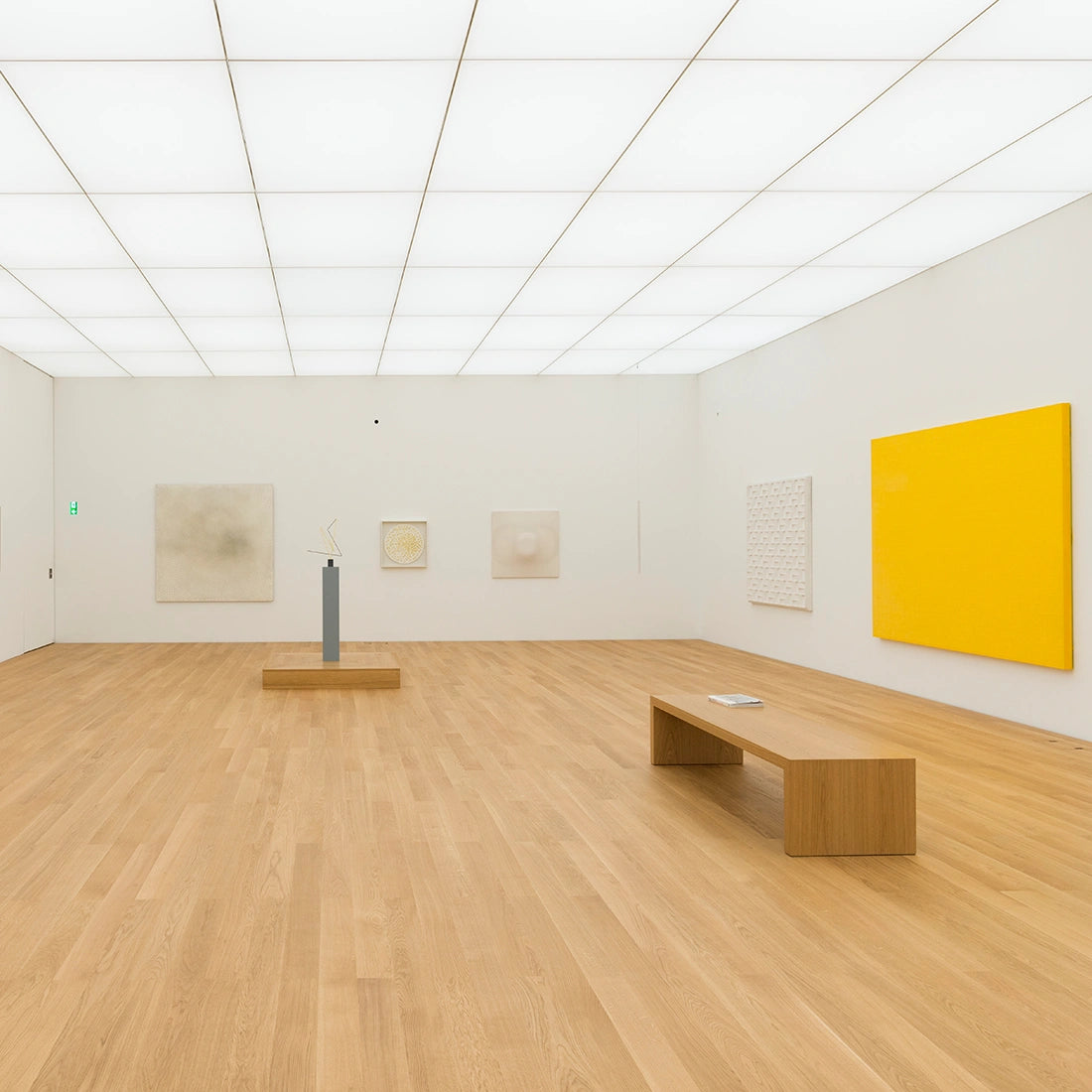 Track & Wire 1,2 - 1,8 mm / 15-40 kg