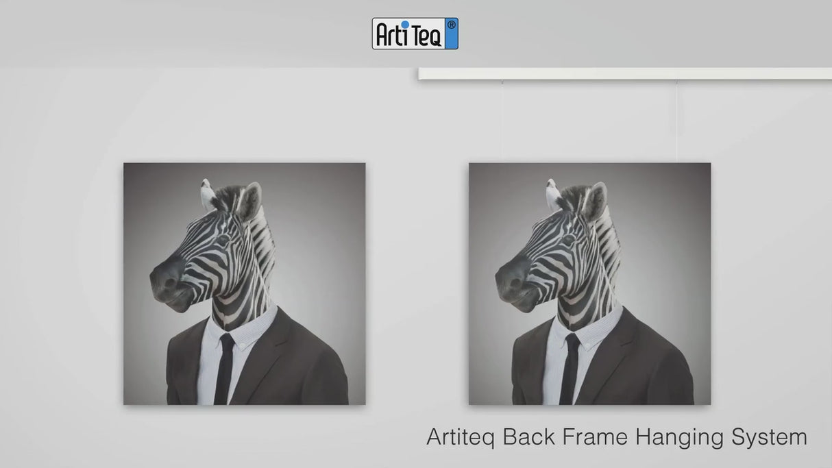 installatie video back frame system
