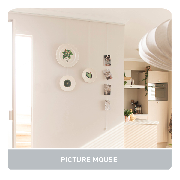 LINK IN BIO, WEEK 39 2025