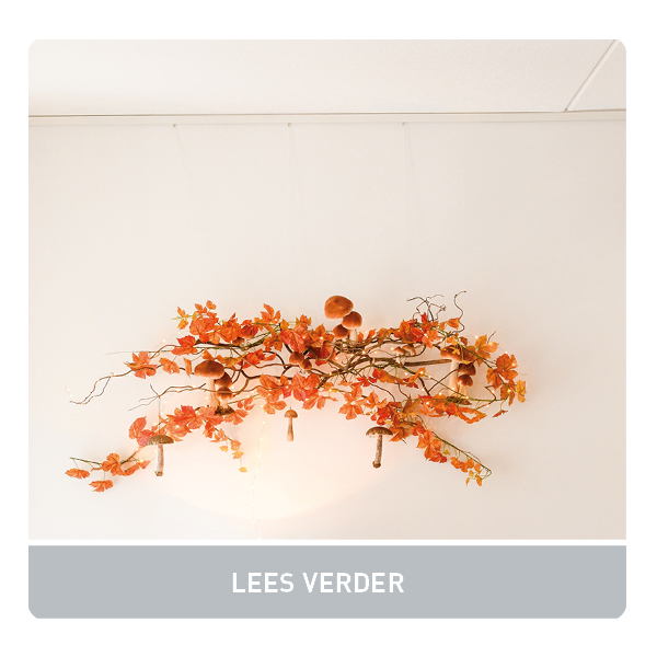 WEEK 40, 2025 LINK IN BIO