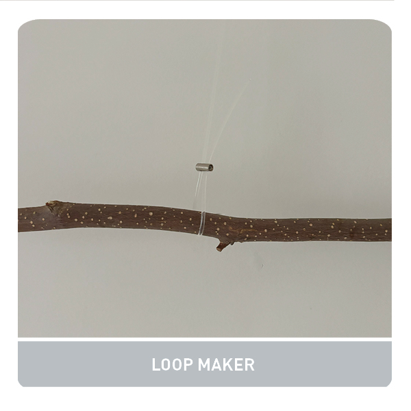 LINK IN BIO, WEEK 39 2025