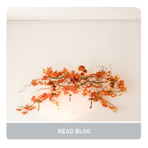 WEEK 40, 2025 LINK IN BIO