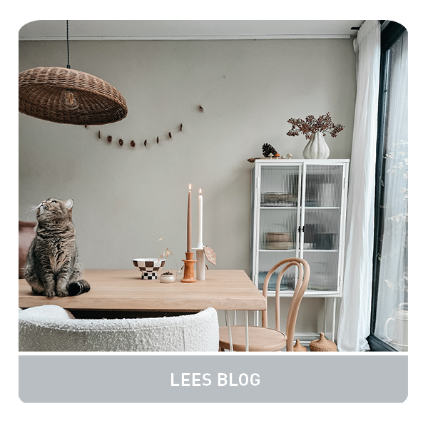 WEEK 42, 2025 LINK IN BIO