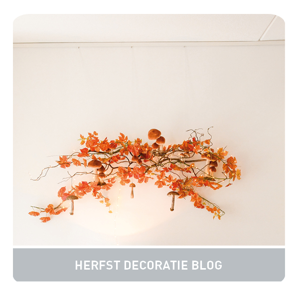 WEEK 41, 2025 LINK IN BIO